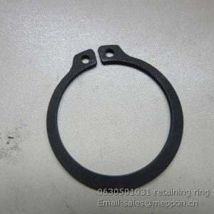 0630501031 retaining ring ZF
