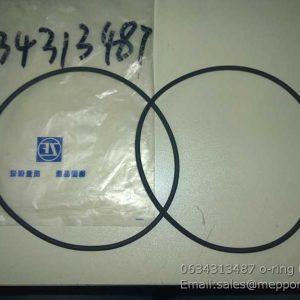 0634313487 o-ring ZF