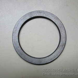 0730109643 WASHER ZF