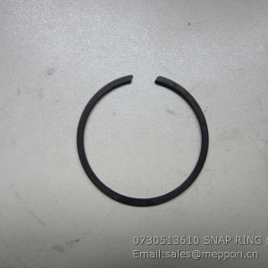0730513610 SNAP RING ZF