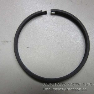 0734317252 PISTON RING ZF