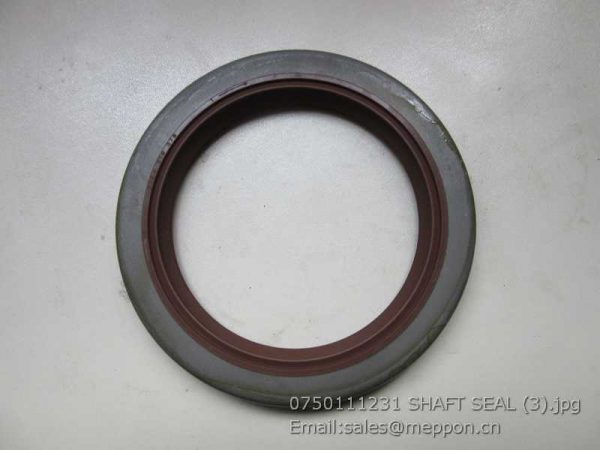 0750111231 SHAFT SEAL ZF