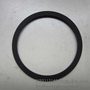 0750112140 PROF.SEAL RING ZF