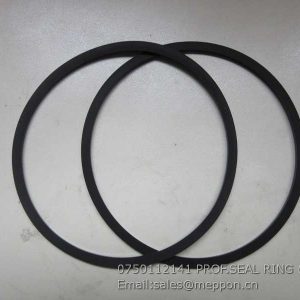 0750112141 PROF.SEAL RING ZF