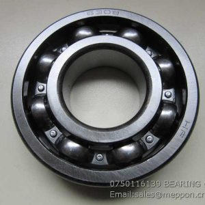 0750116139 BEARING ZF