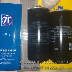 0750131063 0750131053 FILTER ZF