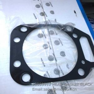 13059912 HEAD GASKET BLACK 4110000057003