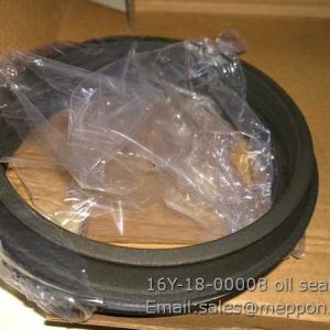16Y-18-00008 oil seal float SHANTUI