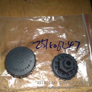 251806247 500FN.2.2 Air FILTER XCMG