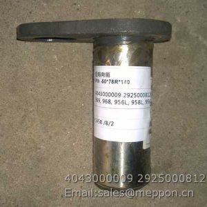 4043000009 29250008121 PIN SDLG