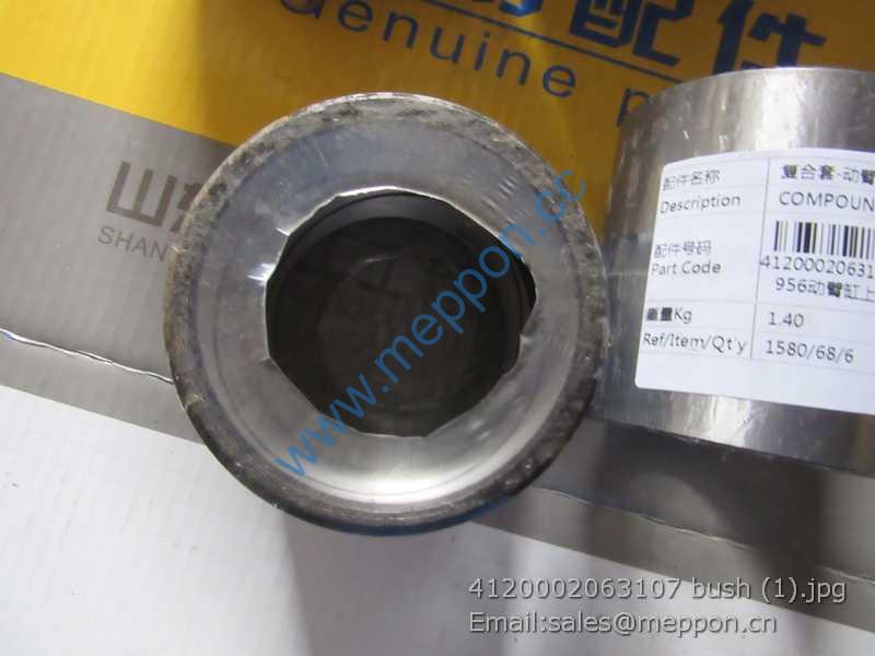 4120002063107 bush SDLG