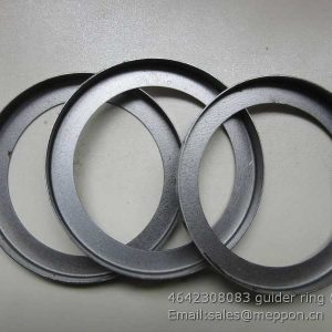 4642308083 guider ring ZF