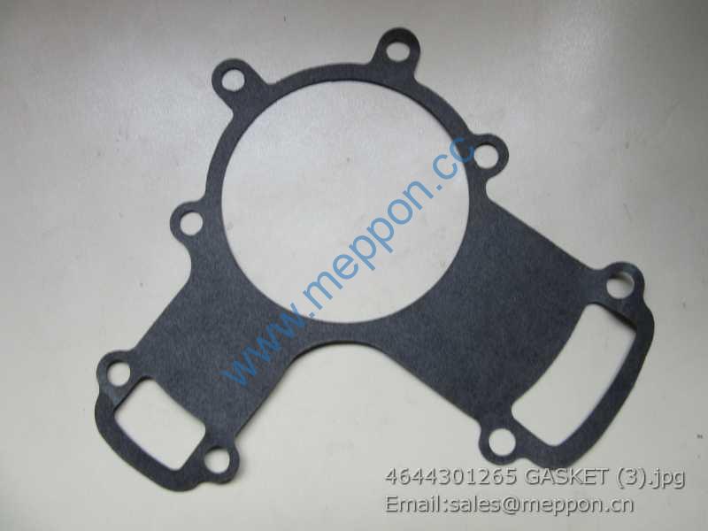 4644301265 GASKET ZF