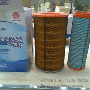612600114993 AIR FILTER 1001180746 860127835 4110001755023 W010517226