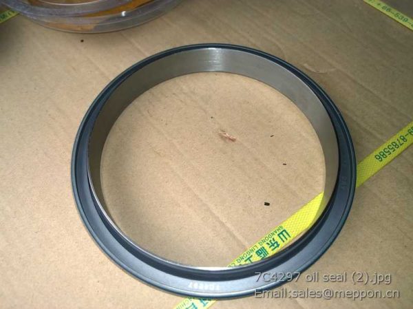 7C4297 oil seal 860113012 SP101593
