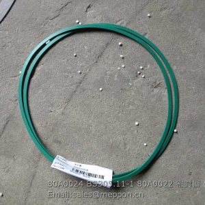 80A0024 BS305.11-1 80A0022 SEAL RING LIUGONG