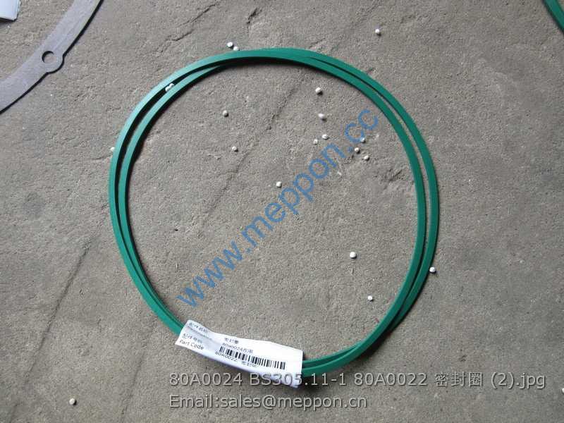 80A0024 BS305.11-1 80A0022 SEAL RING LIUGONG