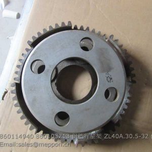 860114940 860103213 PLANET CARRIER ZL40A.30.5-32