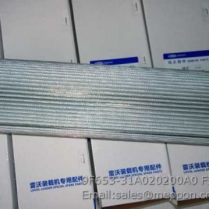 9F653-31A020200A0 FILTER FOTON LOVOL