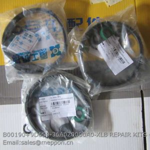 B00190+9D650-36A020000A0-XLB REPAIR KITS FOTON LOVOL