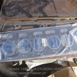 B3000-1003011B CYLINDER HEAD GASKET YUCHAI