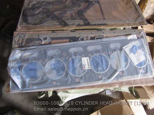 B3000-1003011B CYLINDER HEAD GASKET YUCHAI