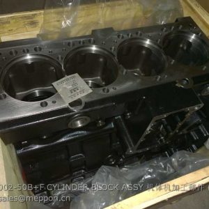 D02A-002-50B+F CYLINDER BLOCK ASSY 4110001126006