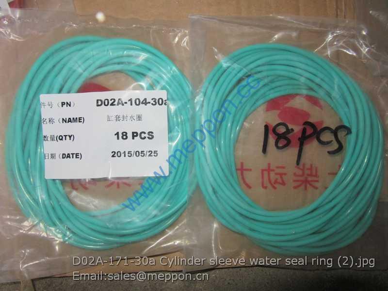 D02A-171-30a Cylinder sleeve water seal ring SDEC