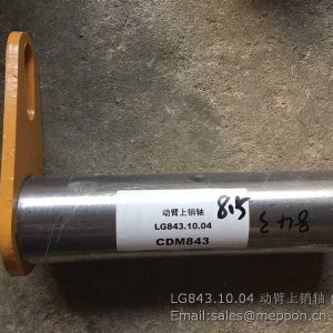 LG843.10.04 30810000125 PIN LONKING