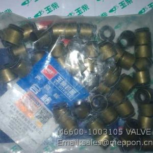 M6600-1003105 VALVE SEAL YUCHAI