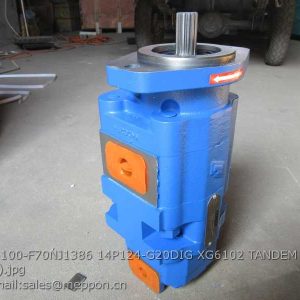 P5100-F70NJ1386 14/P124-G20DIG XG6102 TANDEM PUMP XGMA PERMCO