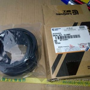 SP103881 SERVICE KIT LIUGONG