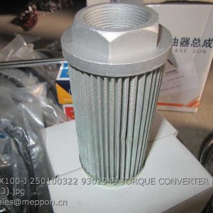 WL-100X100-J 250100322 9302943 TORQUE CONVERTER FILTER Z3.3.6 XCMG