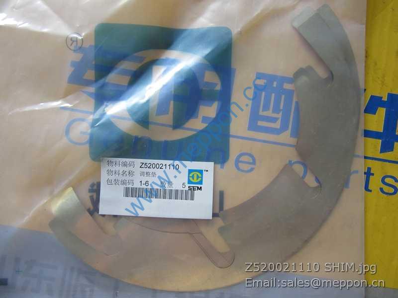 Z520021110 SHIM SEM