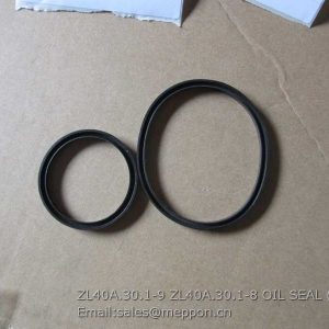 ZL40A.30.1-9 ZL40A.30.1-8 OIL SEAL XCMG