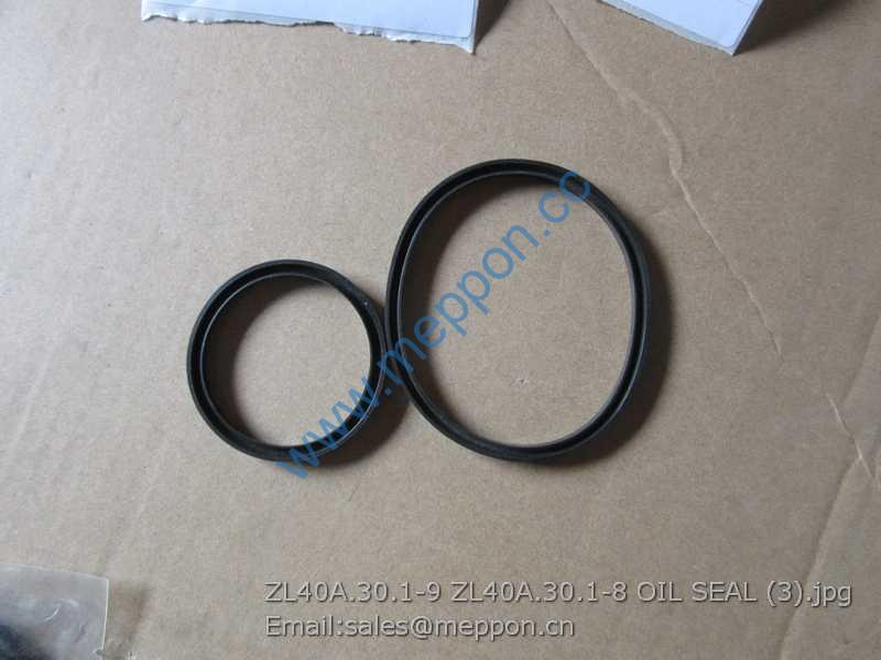 ZL40A.30.1-9 ZL40A.30.1-8 OIL SEAL XCMG